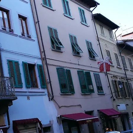 Giaggiolo Viola *
