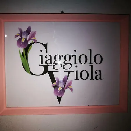 Giaggiolo Viola