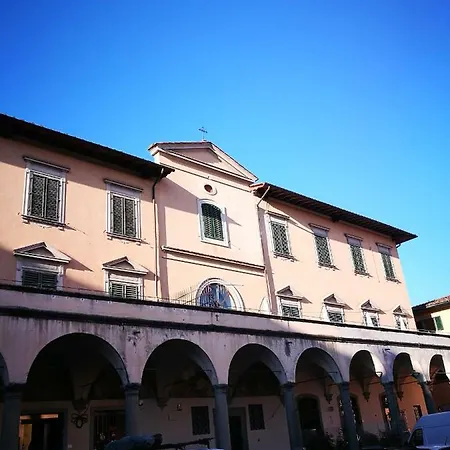 Giaggiolo Viola *